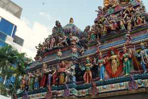 LITTLE INDIA (162)